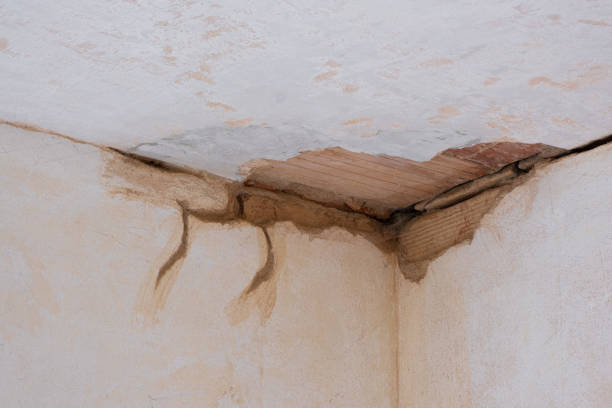 Best Mold removal after water damage  in Jacksonville, OR