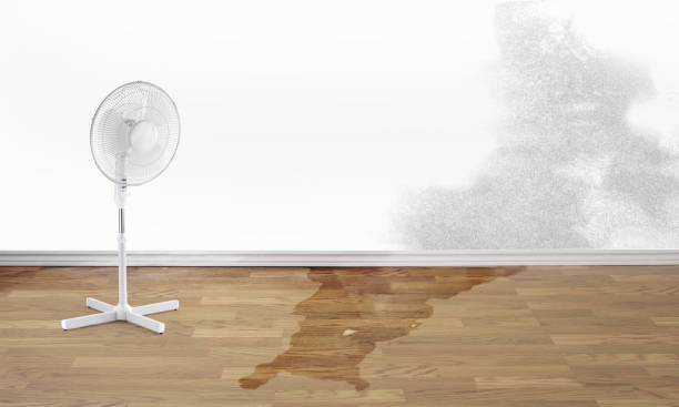 Best Flood damage cleanup  in Jacksonville, OR