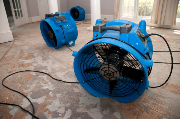 Water damage restoration mold remediation in Jacksonville, OR
