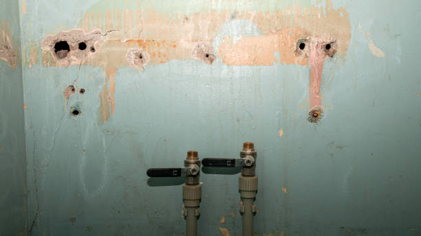 Best Water damage repair service  in Jacksonville, OR