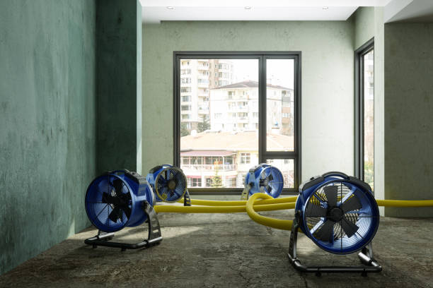 Best Ceiling water damage repair  in Jacksonville, OR