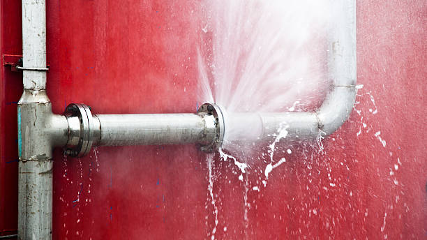 Best Carpet water damage restoration  in Jacksonville, OR